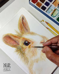 WIP Rabbit portrait Watercolor