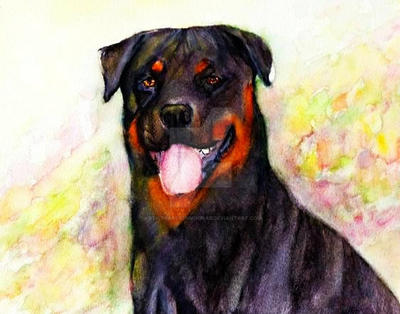 Diva-The Rottweiler by ArtistKarstenMouras on DeviantArt