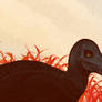 Velociraptor Portrait