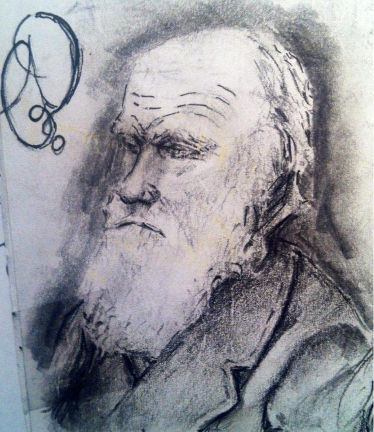 Charles Darwin Sketch II by Binksake on DeviantArt