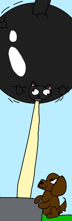 Cat Inflation Animation Black cat inflation by sumayyahcats on DeviantArt