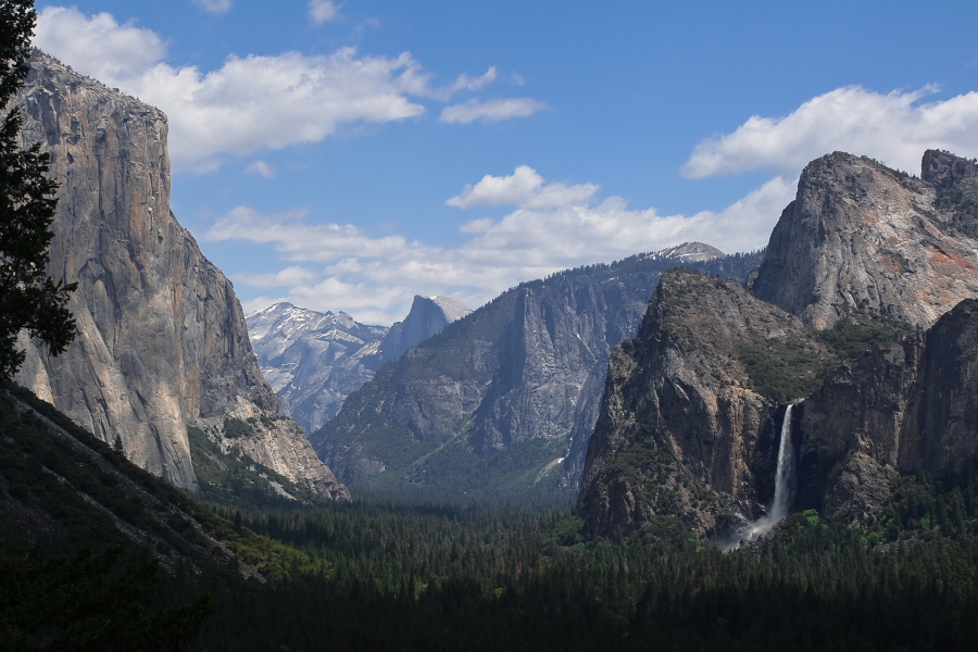 Yosemite Park I