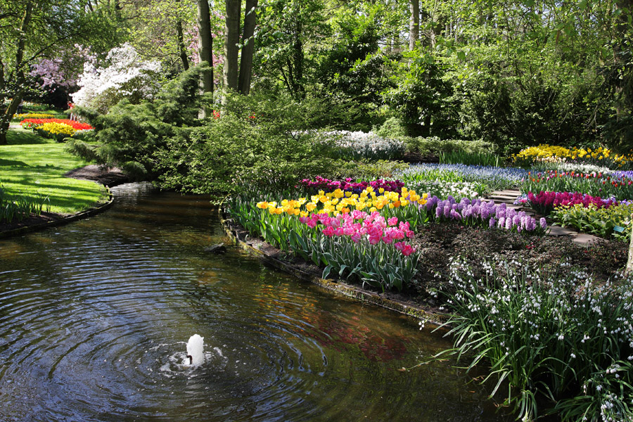 Keukenhof II