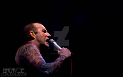 JAKE LUHRS AUGUST BURNS RED