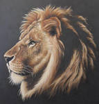 Lion Portrait Painting by JonMckenzie