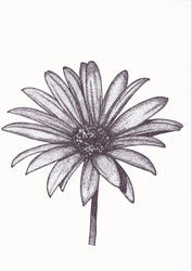 CATC - Flower
