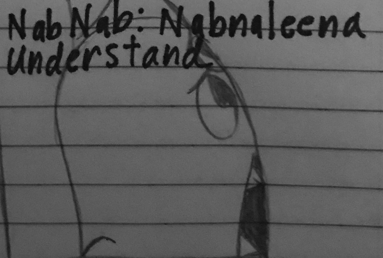 Nabnab and nabnaleena drawing