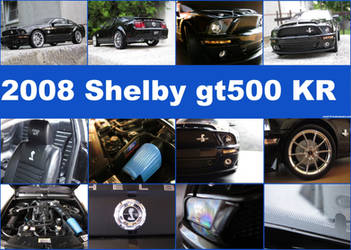 2008 Shelby gt500kr