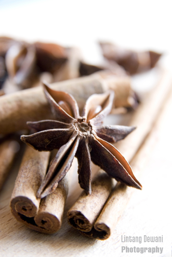 Star Anise and Cinnamon