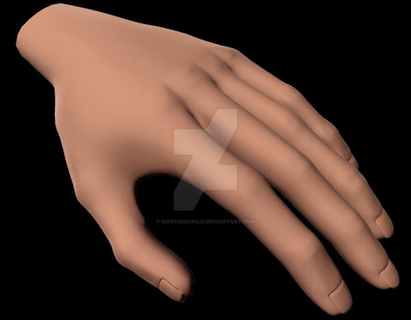 Sd Model Hand Hand Model by DiseasedChild on DeviantArt