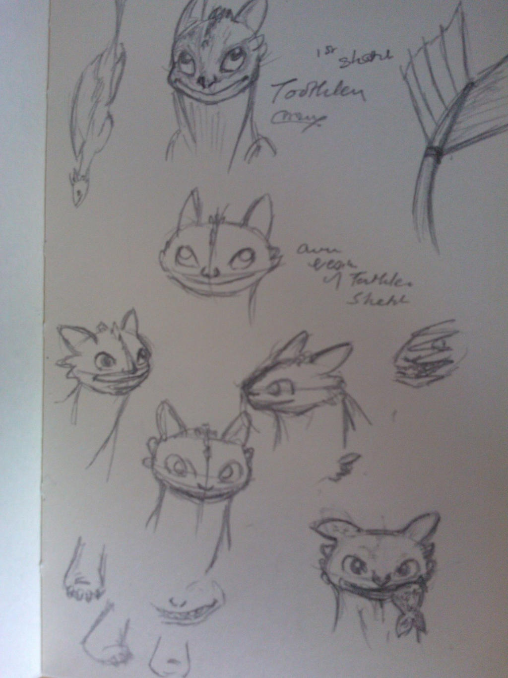 Toothless Sketchdump