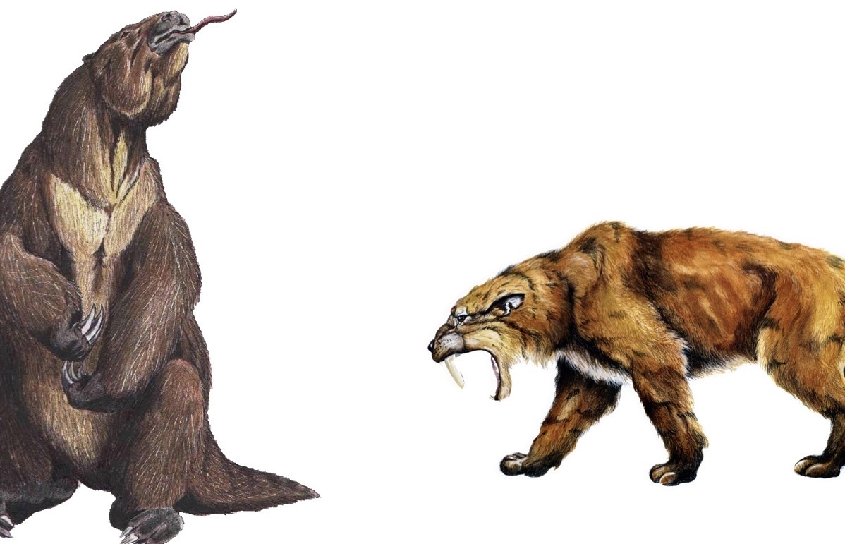 Ground Sloth vs Saber Tooth by squlliam06 on DeviantArt