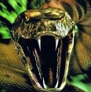 Python by squlliam06 on DeviantArt