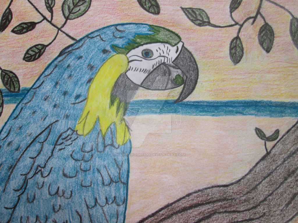 Parrot
