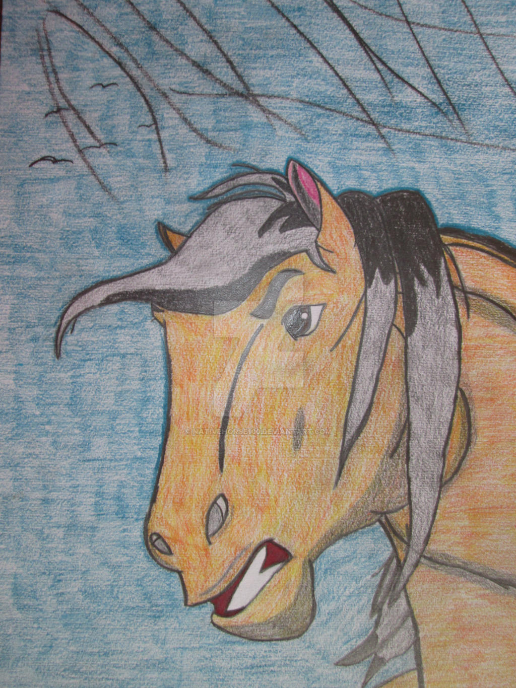 SPIRIT mad