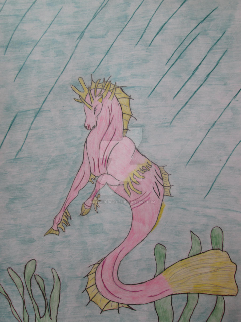 Pink water Horse