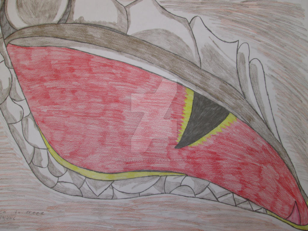Red Dragon eye