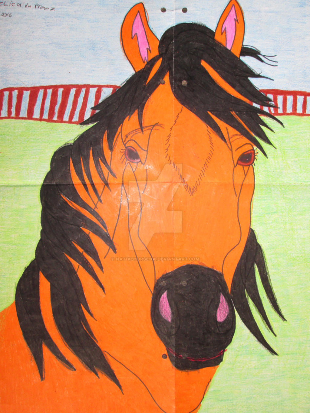 Horse Portrait