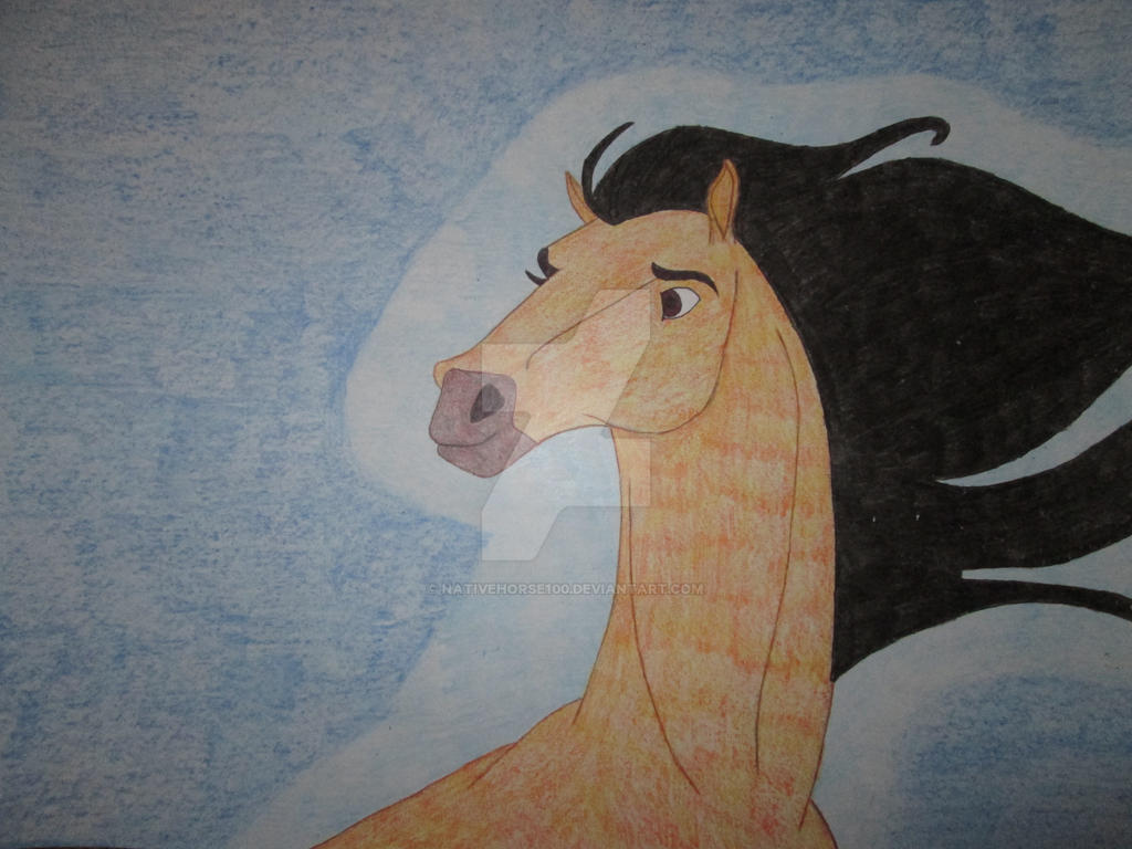 SPIRIT wild and free