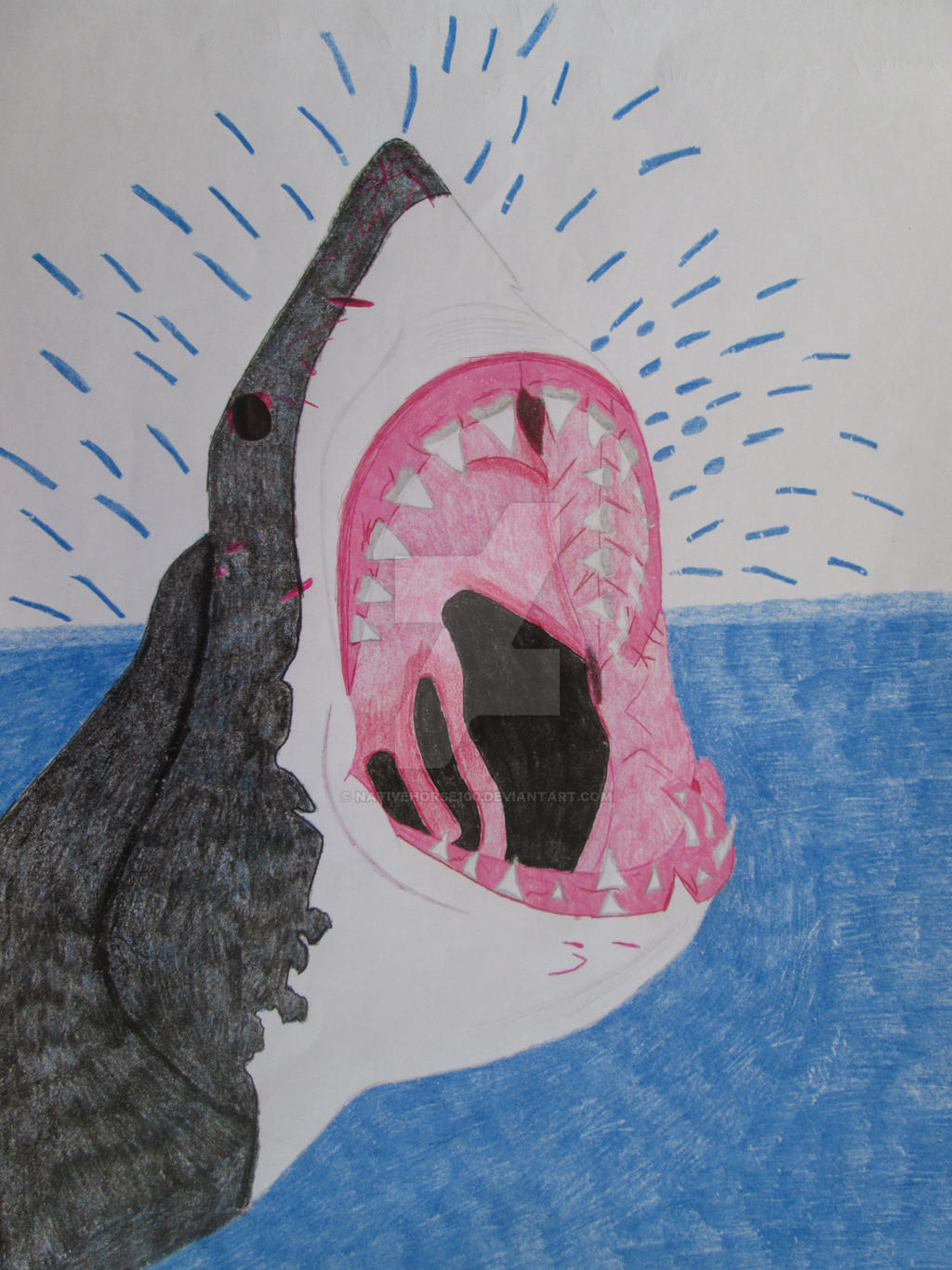 Great white shark 3.