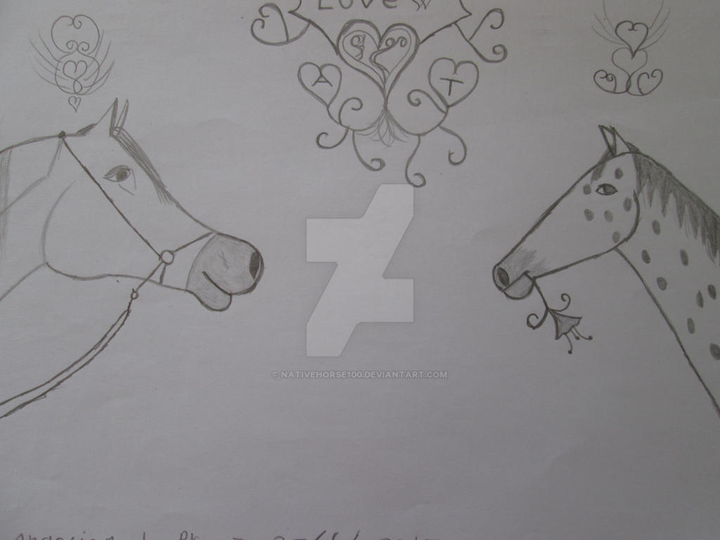 Horses in love 1