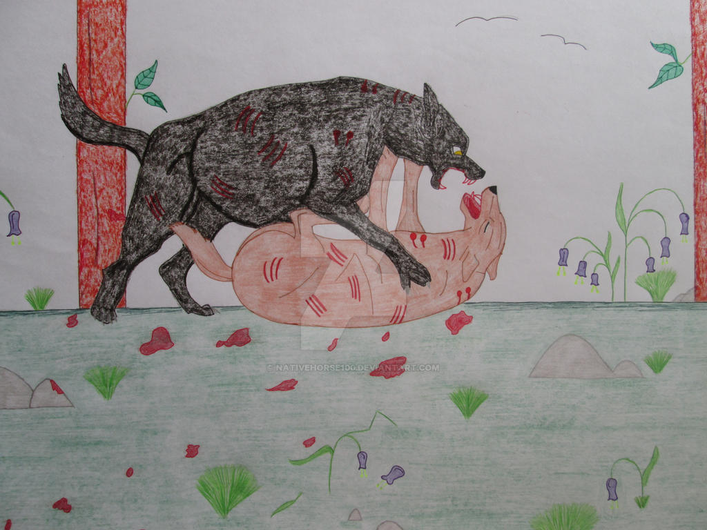 Fighting Kane and Slade wolf