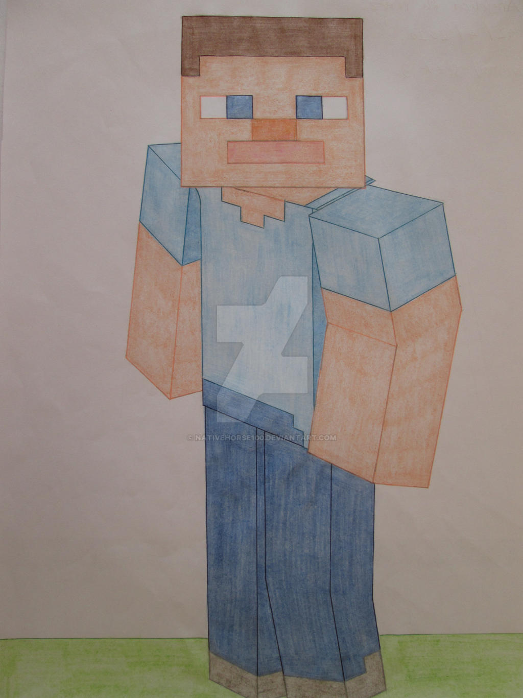 Steve 3