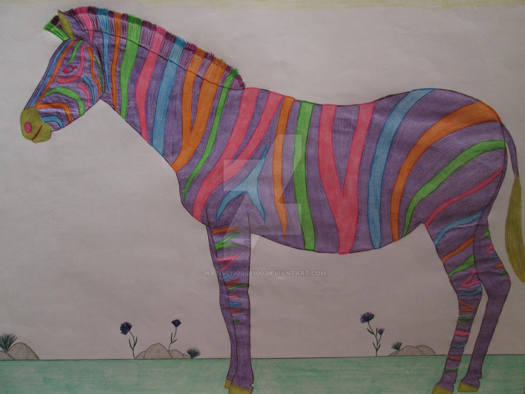 Rainbow zebra