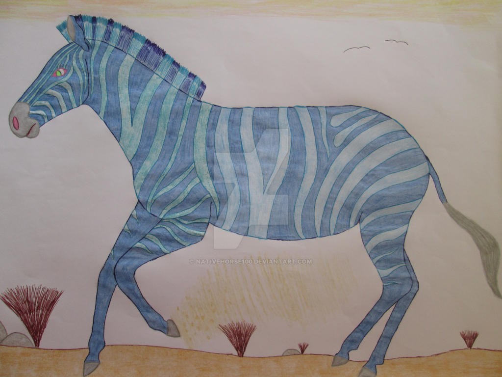 Blue zebra