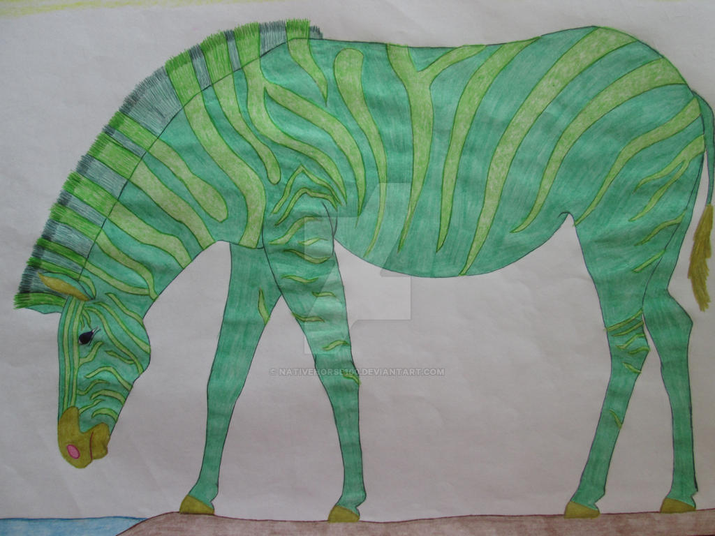 Green zebra