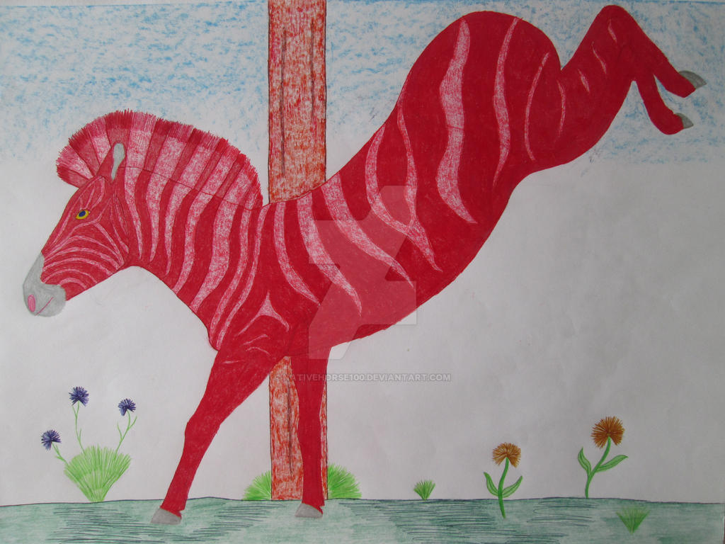Red zebra