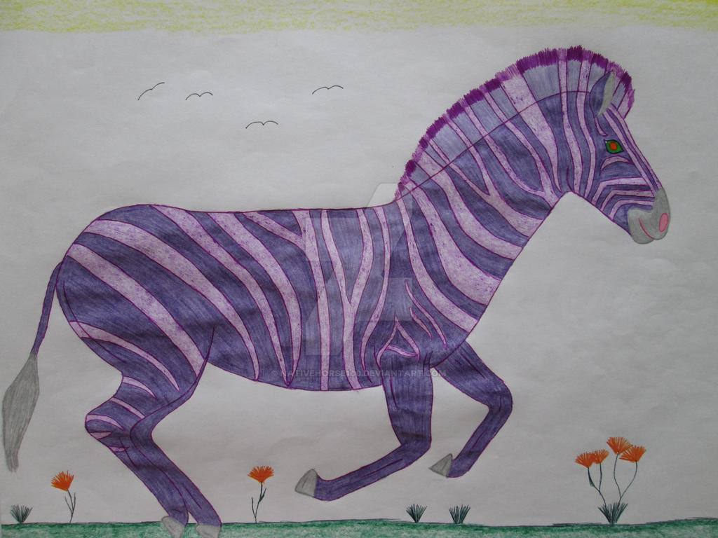 Purple zebra