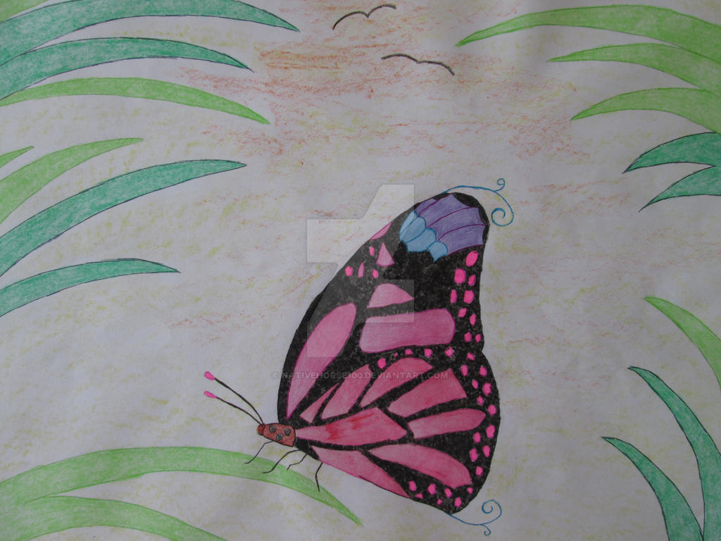 Butterfly