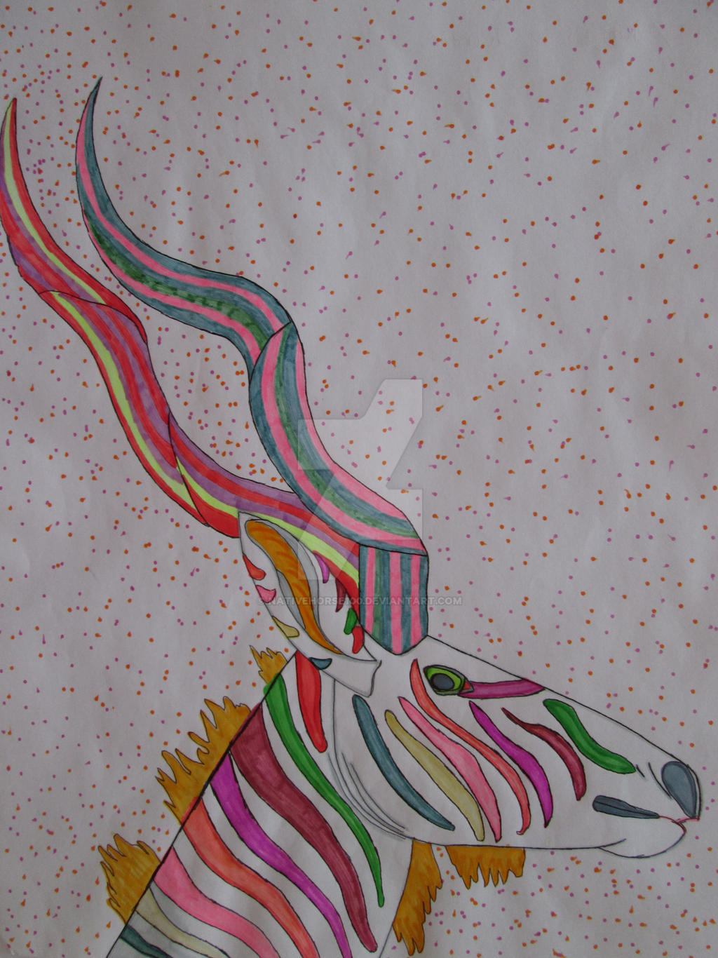 Rainbow Kudu