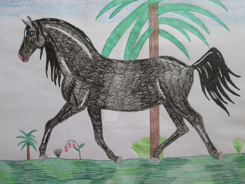 Black horse