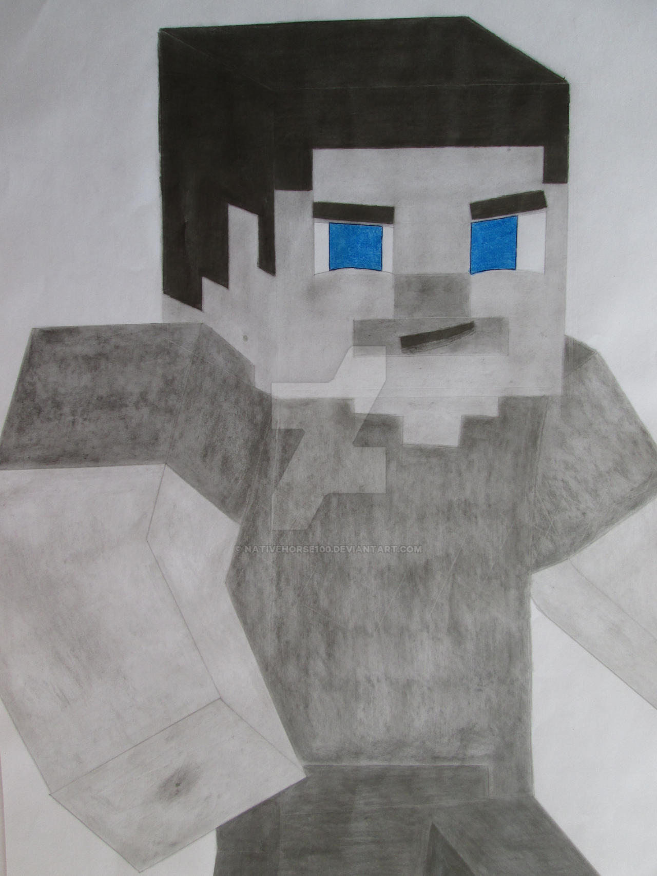 Steve 4
