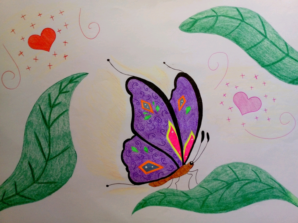 Butterfly 4