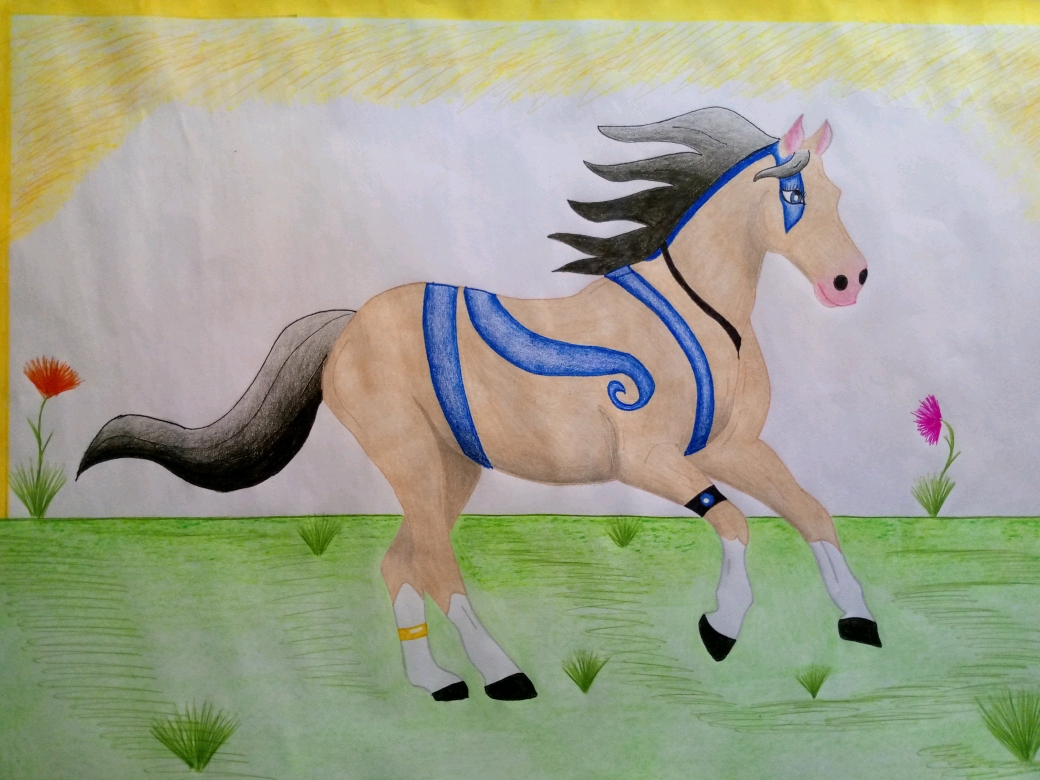 Alisa horse