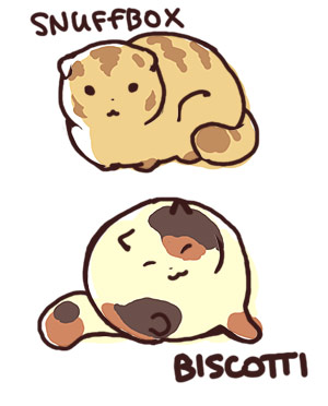 Snuffbox and Biscotti