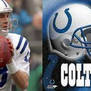 Indy Colts