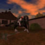 Star Stable - AutumnShadow 2