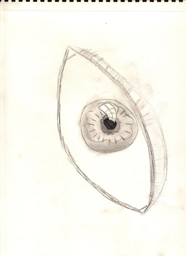 one eye by labradoodlebender on DeviantArt