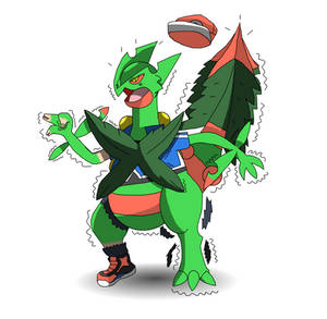 Mega Sceptile TF