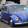 Herbie in Blue