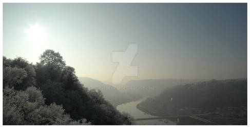 Rhine River Morning Frost