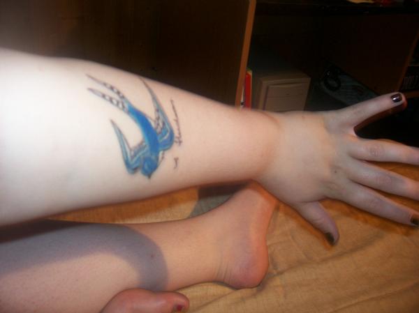 Blue Jay Tattoo By Aprenti On Deviantart Blue Jay Tattoo By Aprenti On Deviantart