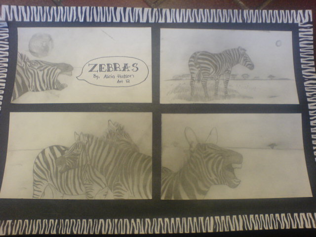 Zebras are everywhere