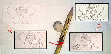 making of pelvis