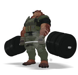 Bear Strength