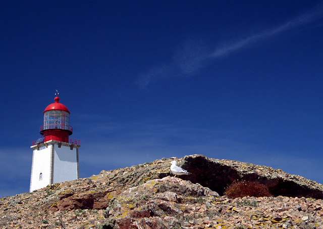 Berlenga Island lighthouse